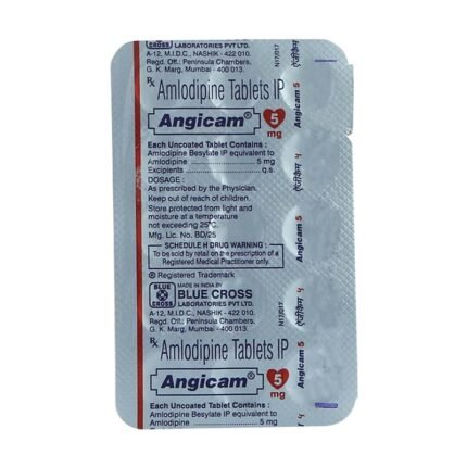 ANGICAM 5
