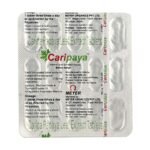 CARIPAYA SYRUP