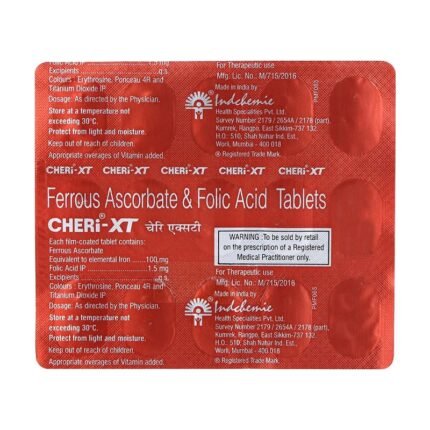 CHERI XT