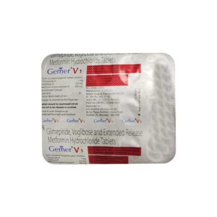 GEMER V1