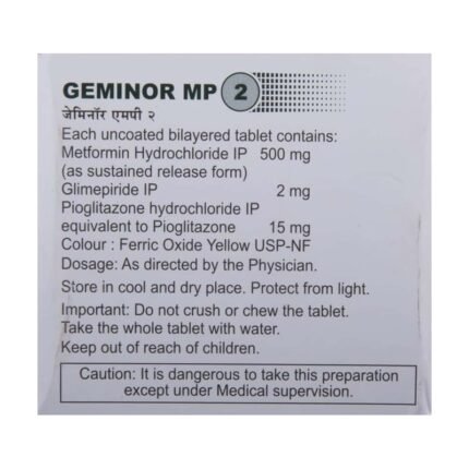 GEMINOR 2