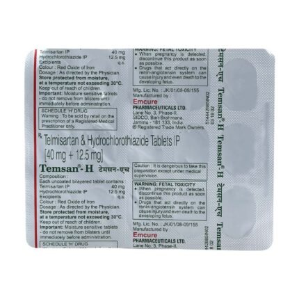 TEMSAN H