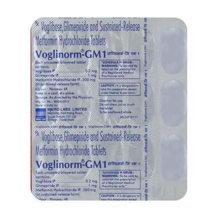 VOGLINORM GM 1