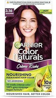 Garnier 3.16 Burgundy 70Ml