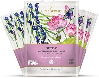 Garnier Face Mask Sheet