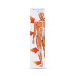 Buy POWERGESIC PLUS GEL Online at Classic Medico