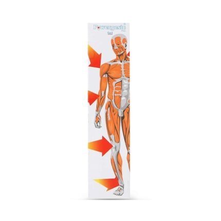 Buy POWERGESIC PLUS GEL Online at Classic Medico