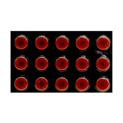 Buy MIGRABETA TR 40 Online at Classic Medico