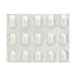 Buy TEMSAN H 80 Online at Classic Medico