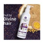 Buy Rice Water Shampoo 250Ml Mamaearth Online at Classic Medico
