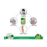 Buy Amrutanjan Balm Strong 25G Online at Classic Medico