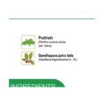 Buy Amrutanjan Balm 60G Online at Classic Medico