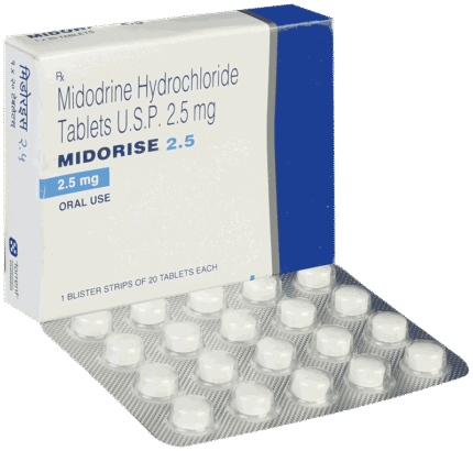 Midorise 2.5 - View 1