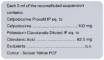 Opox 100 Syrup - View 6