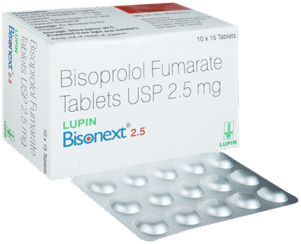 Bisonext 2.5 - View 1