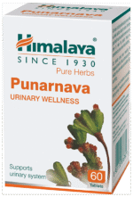 Punarnava Himalaya - View 1