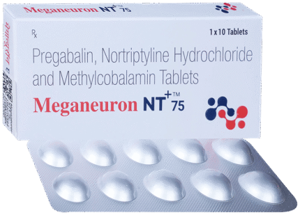 Meganeuron Nt 75 - View 1