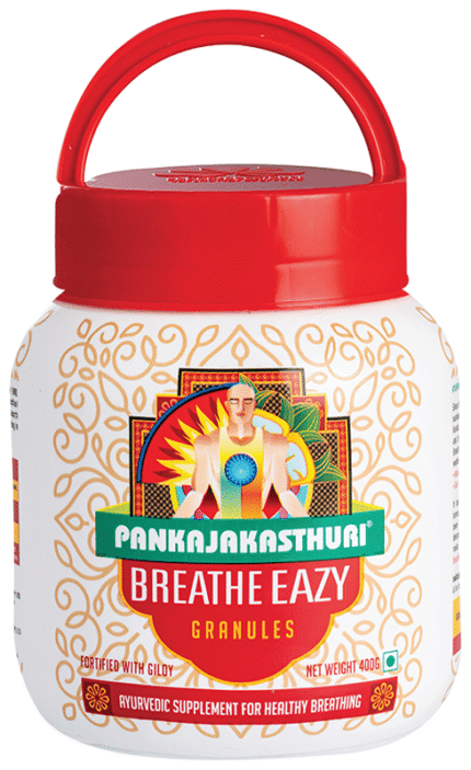 Pankajakasthuri Breathe Easy 400G - View 1