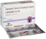 Lipikind Cv 20 - View 1