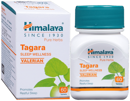 Tagara Himalaya - View 1