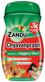 Chyavanprash 450G Zandu - View 1