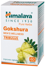 Gokshura Himalaya - View 1