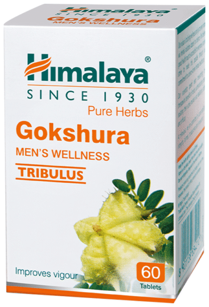 Gokshura Himalaya - View 1