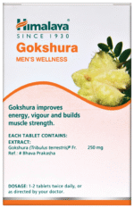Gokshura Himalaya - View 2