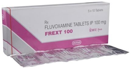 Frext 100 - View 1