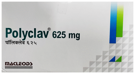 Polyclav 625 - View 1