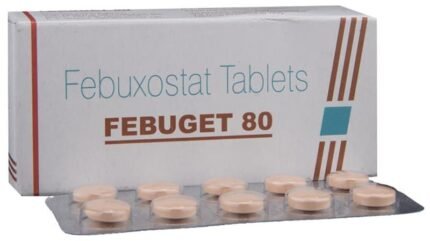 Febuget 80 - View 1