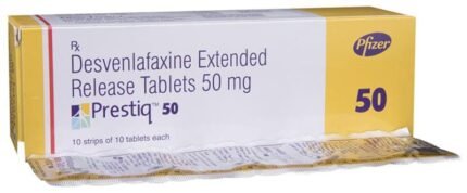 Prestiq 50 - View 1