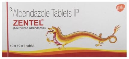Zentel - View 2