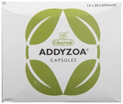 Addyzoa - View 2