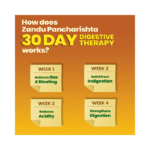Pancharishta 450Ml Zandu - View 5