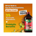 Pancharishta 450Ml Zandu - View 8
