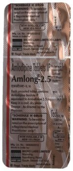 Amlong 2.5 - View 5