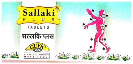 Sallaki Plus - View 1